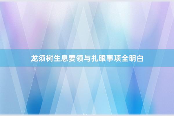 龙须树生息要领与扎眼事项全明白